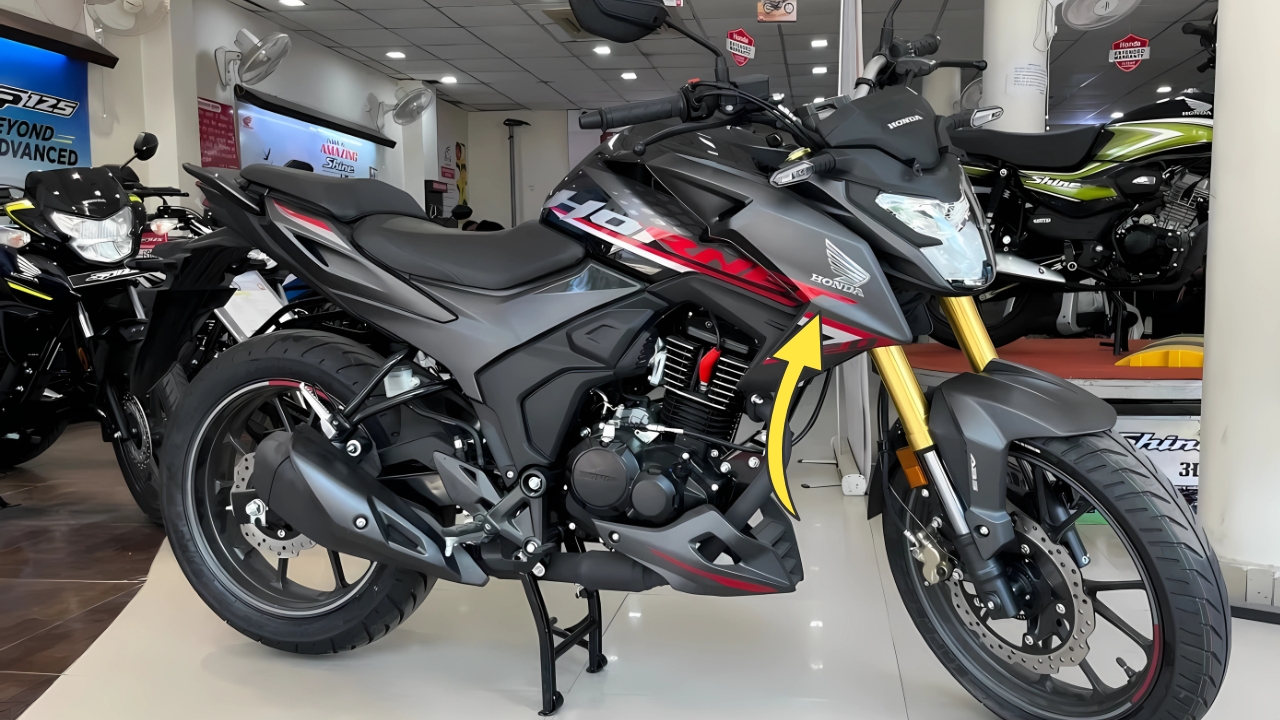 Honda Hornet 2.0